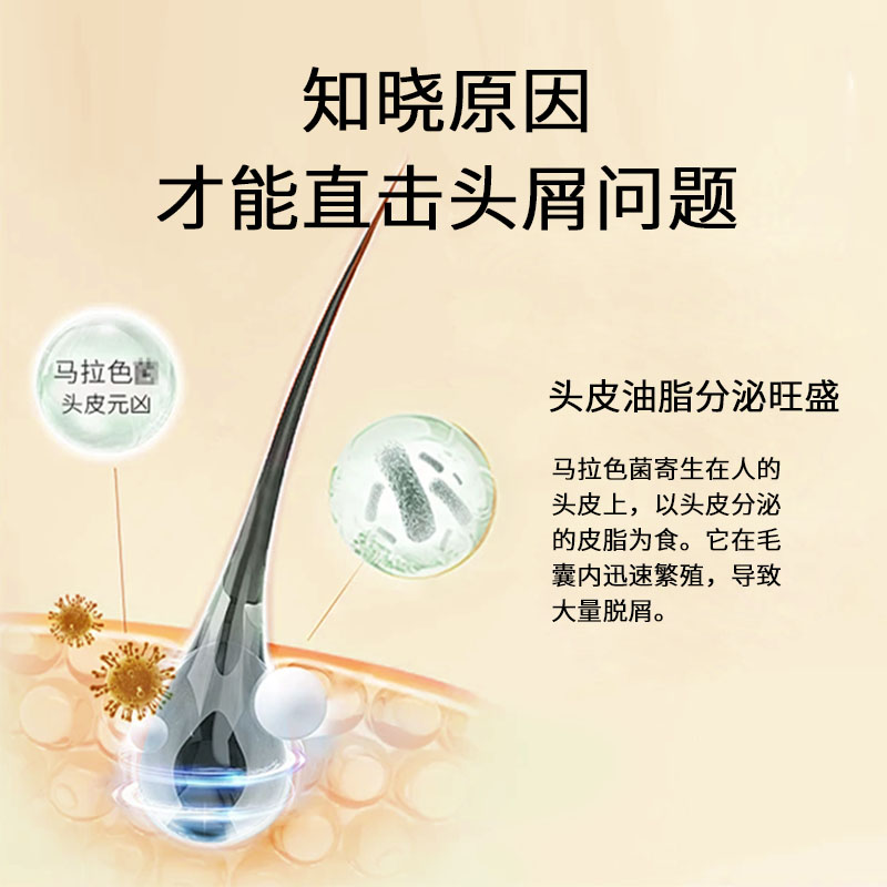 韩芙雪柔顺丝滑洗发水